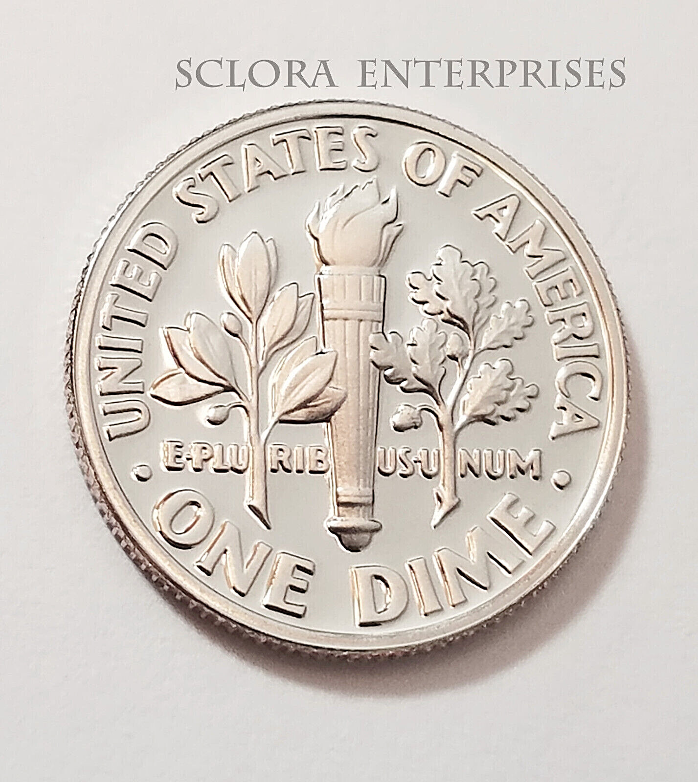 1980 S ROOSEVELT *PROOF* DIME **FREE SHIPPING**