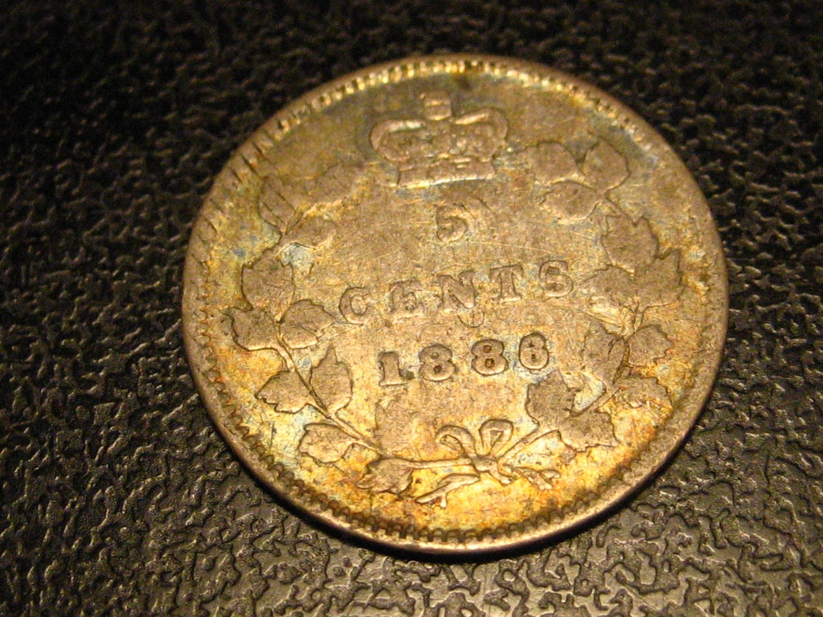 1886 Large 6 Canadian 5 Cent Silver Damaged
