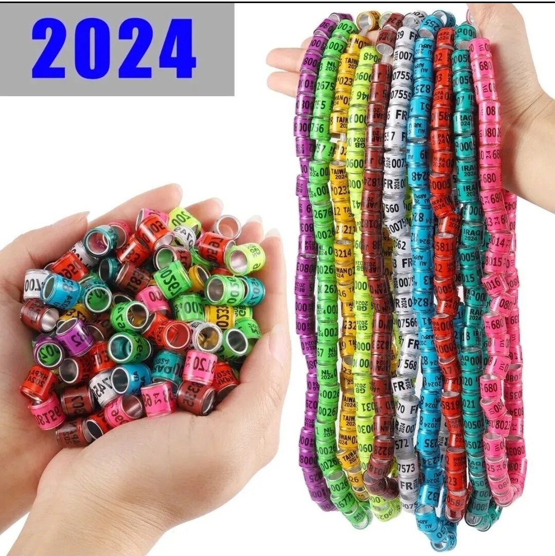 2024, 50PIGEON RINGS 2024. ANILLOS DE PALOMA 2022.10 DIFERRENT COLOR MULTICOLOR