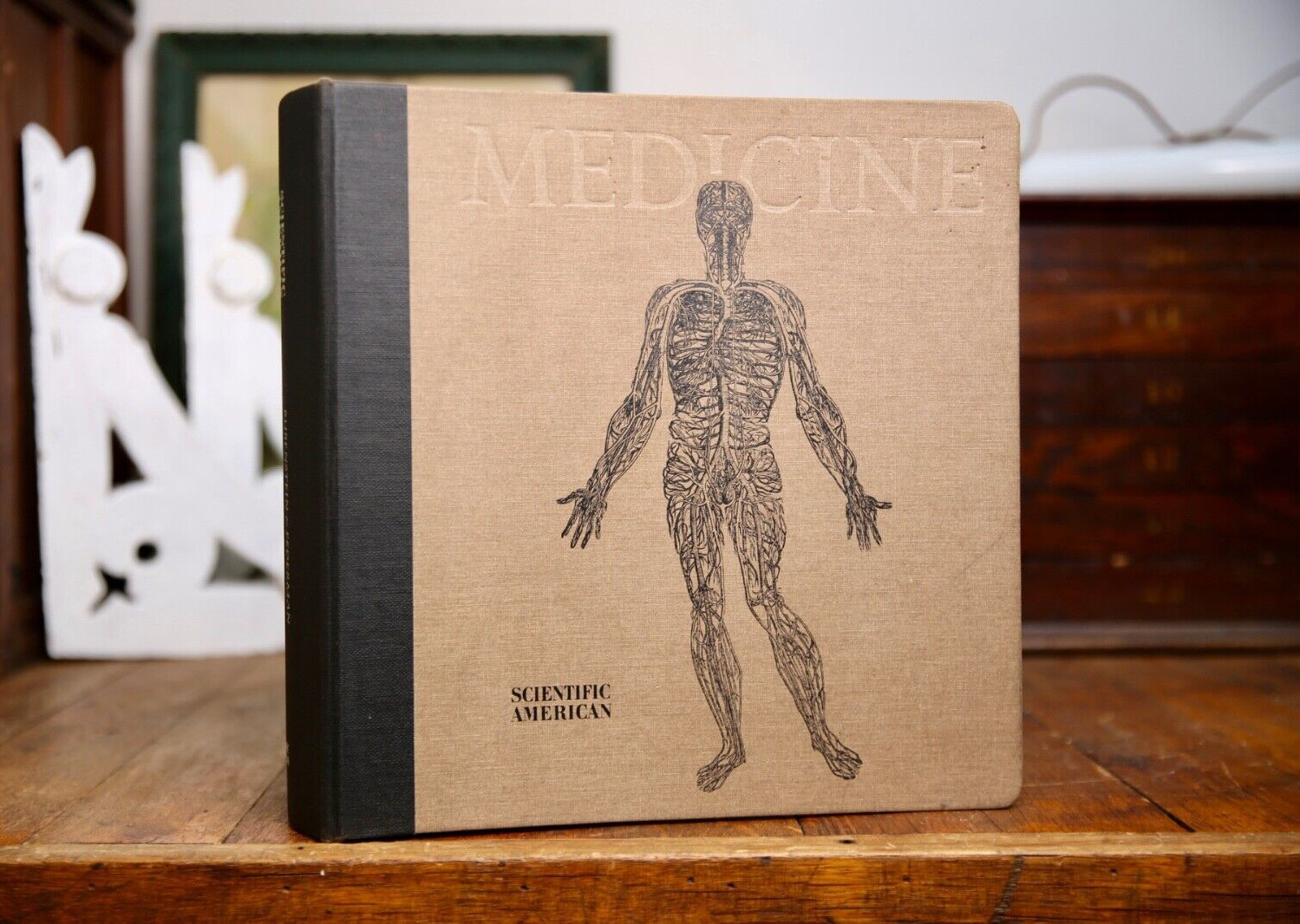 Vintage Medical School Binder Medicine Science laboratory skeleton anatomy book