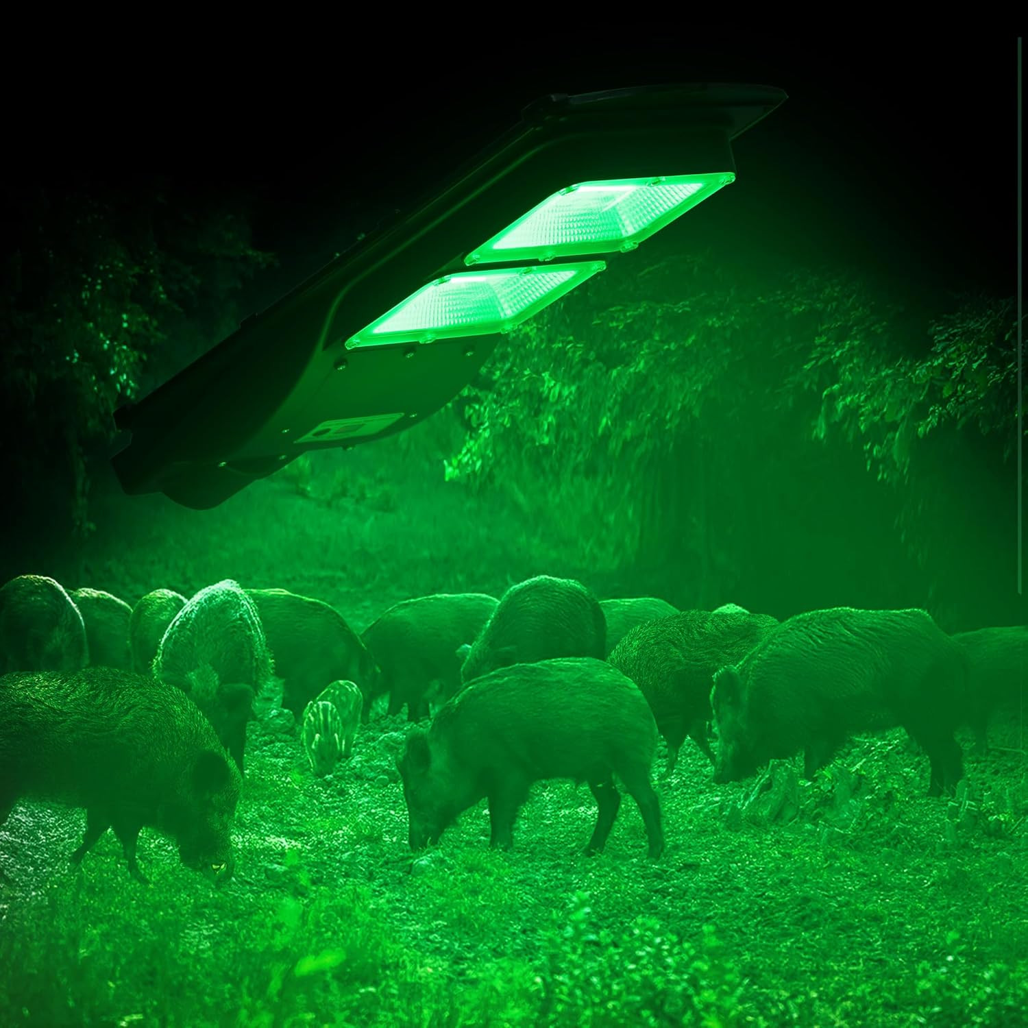 Hog Light, Solar Green Lights for Hunting Deer Hog Pig Activated Feeder Accessor