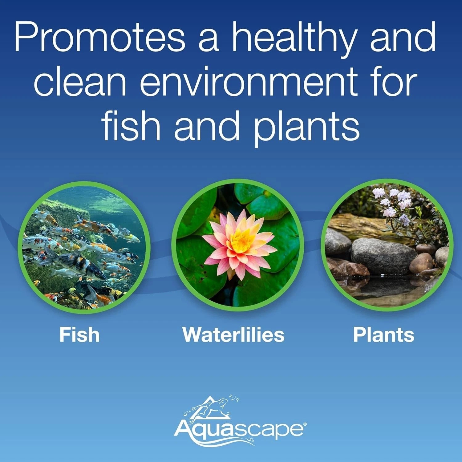 Easy Maintenance Pond Aerator - 2 Outlets-