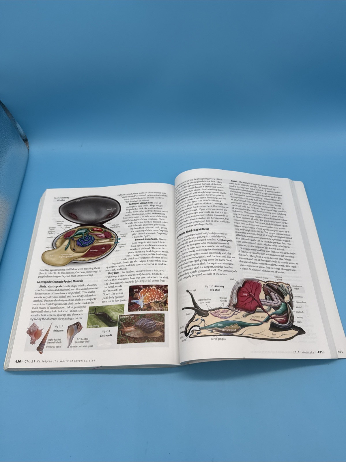 ABeka Biology Student Text (4th Edition) 10th Grade Science