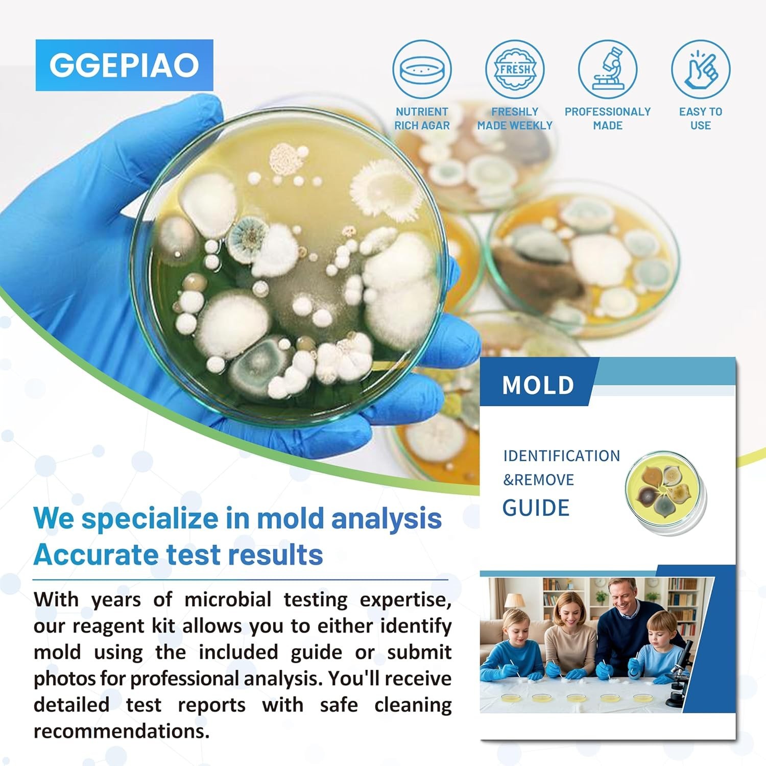 Mold Kit with Comprehensive Guide & Fast Results: Protect Your Home Today