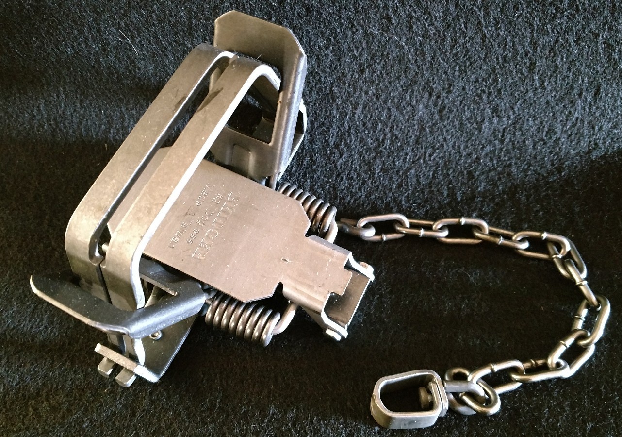1 BRIDGER #2 DOGLESS OFFSET COIL SPRING TRAP. TRAPPING COYOTE BOBCAT FOX