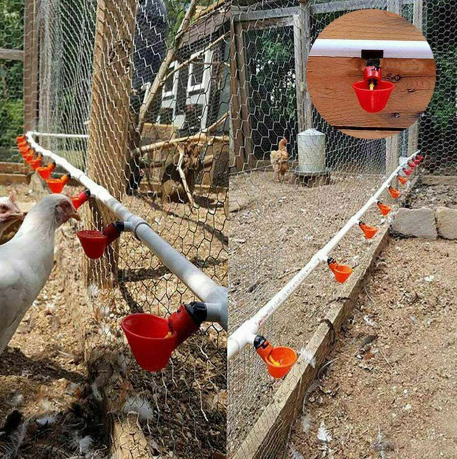 10 Poultry Water Drinking Cups Chicken Hen Plastic Automatic Drinker Feeder