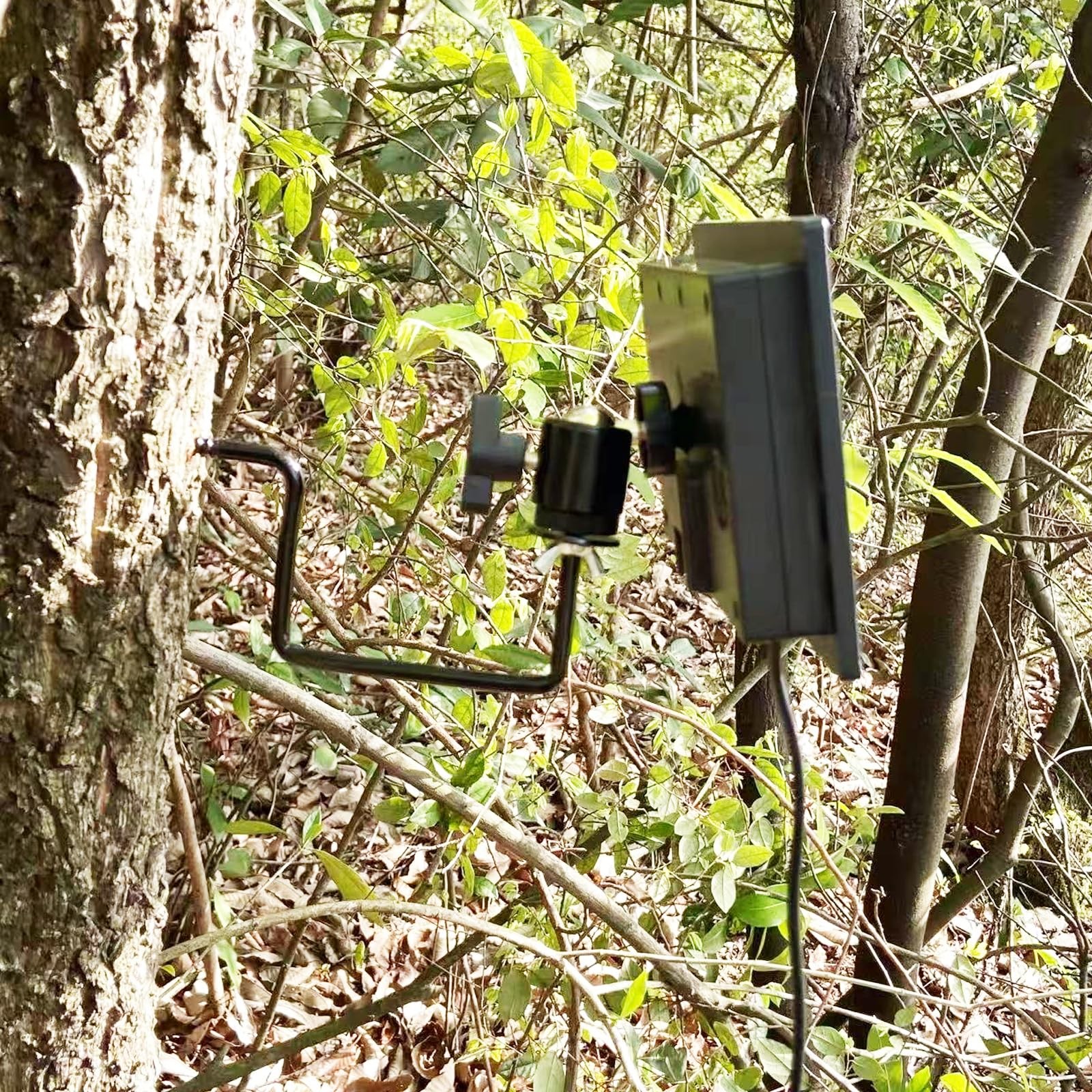 Trail Camera Mount Game Camera Mount Trail Camera Mounts Screw in Tree 4 Pieces
