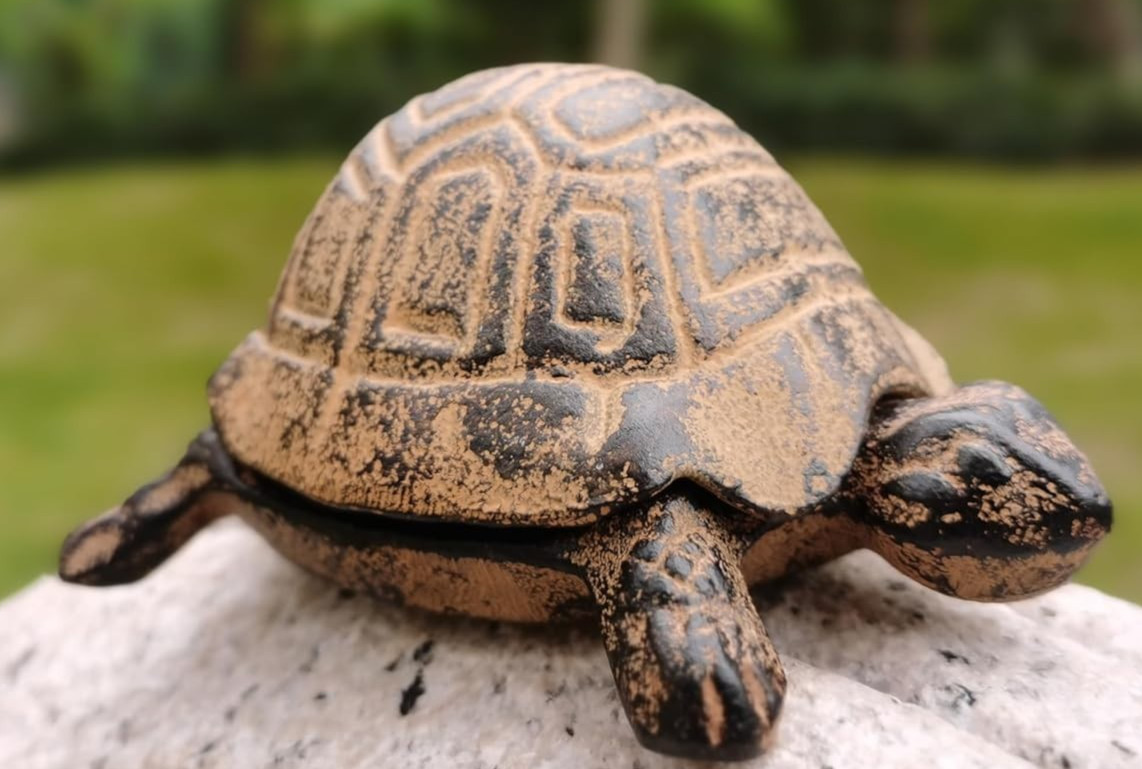 Spare Key Hider Outdoor Heavy Cast Iron Turtle Box Brown