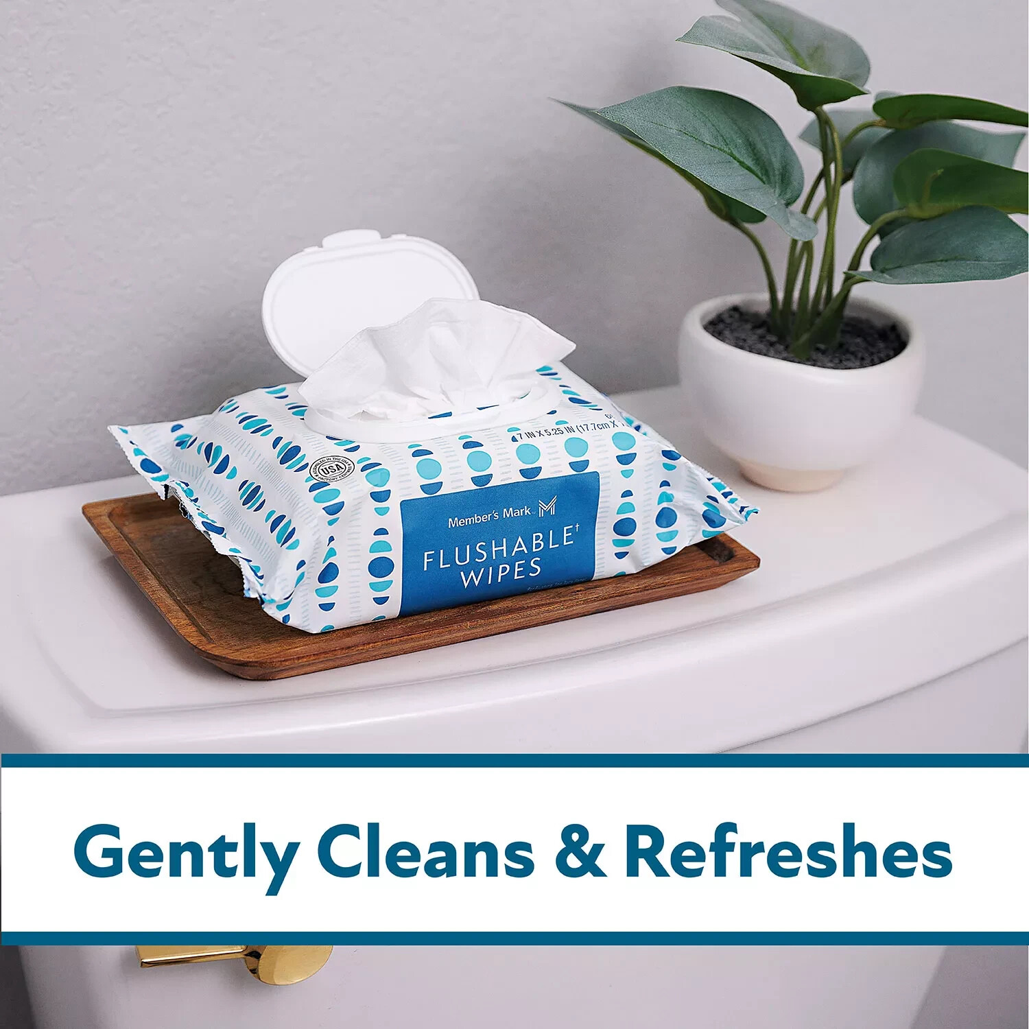 Member's Mark Flushable Wipes, Fresh Scent, 540 ct.