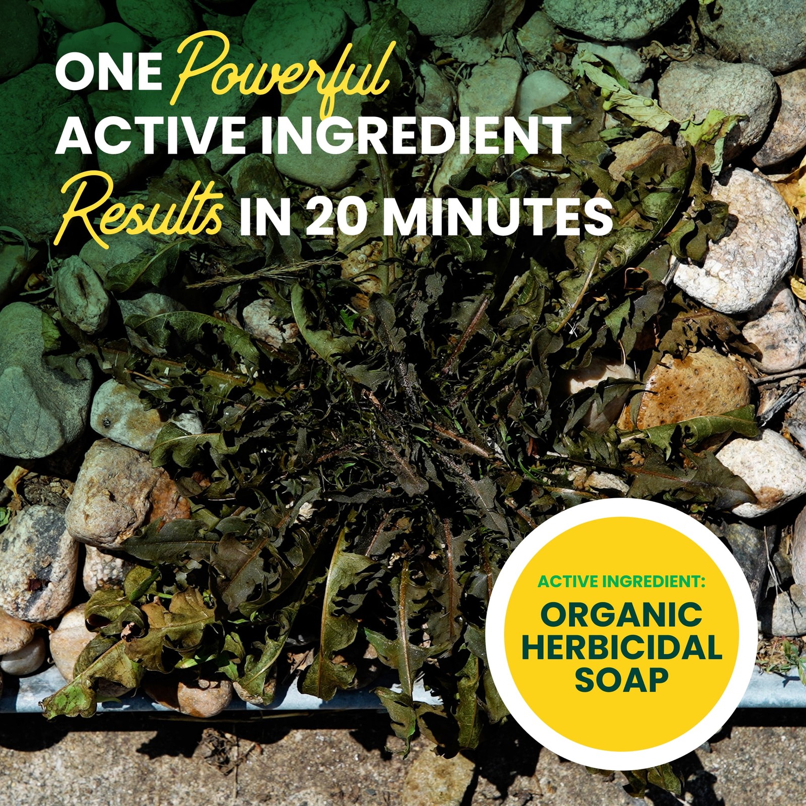 Weed&Grass Killer, Non-Selective Herbicide,OMRI Listed,Ready-to-Use Spray,32floz