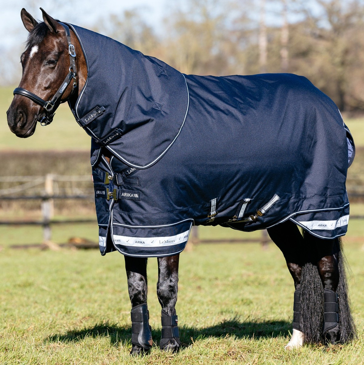 LeMieux Arika Storm-Tek 50g Lightweight Light Turnout Rug with Hood 4'9" - 7'3"