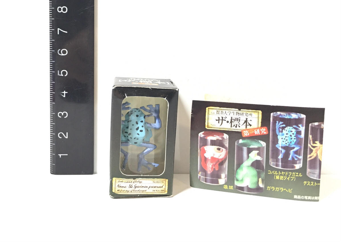 Japan Exclusive The Specimen Preserved Blue Cobalt Dart Poison Frog Model Figure
