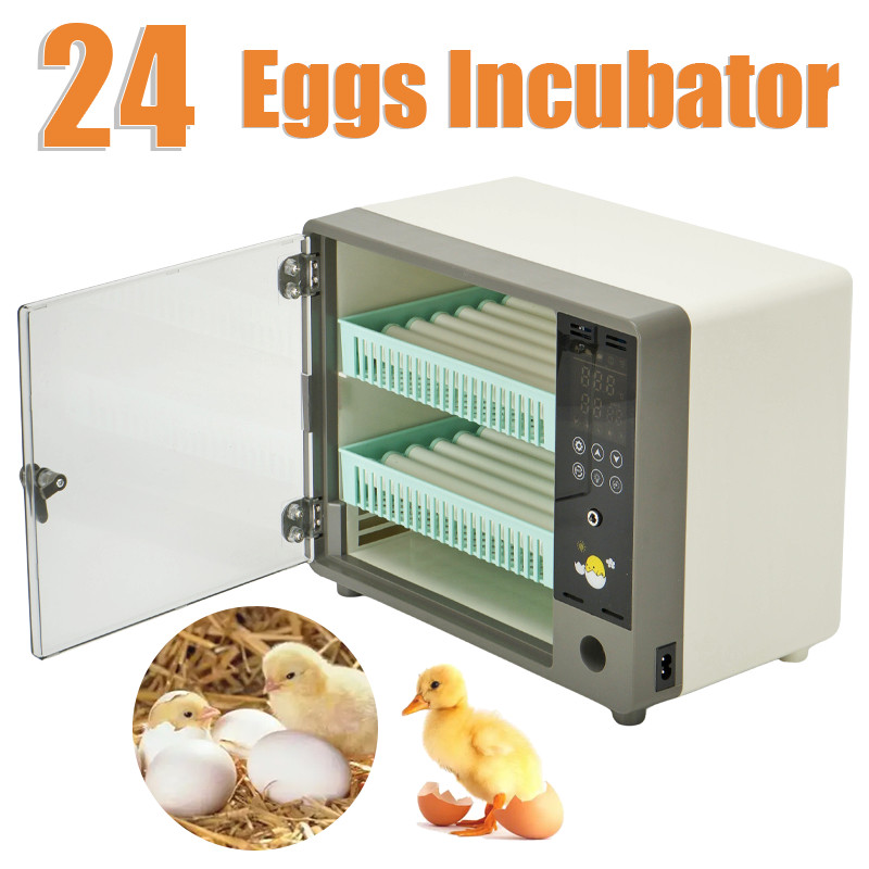 24 Eggs Incubator For Hatching Eggs with Automatic Egg Turning and Humid Brooder