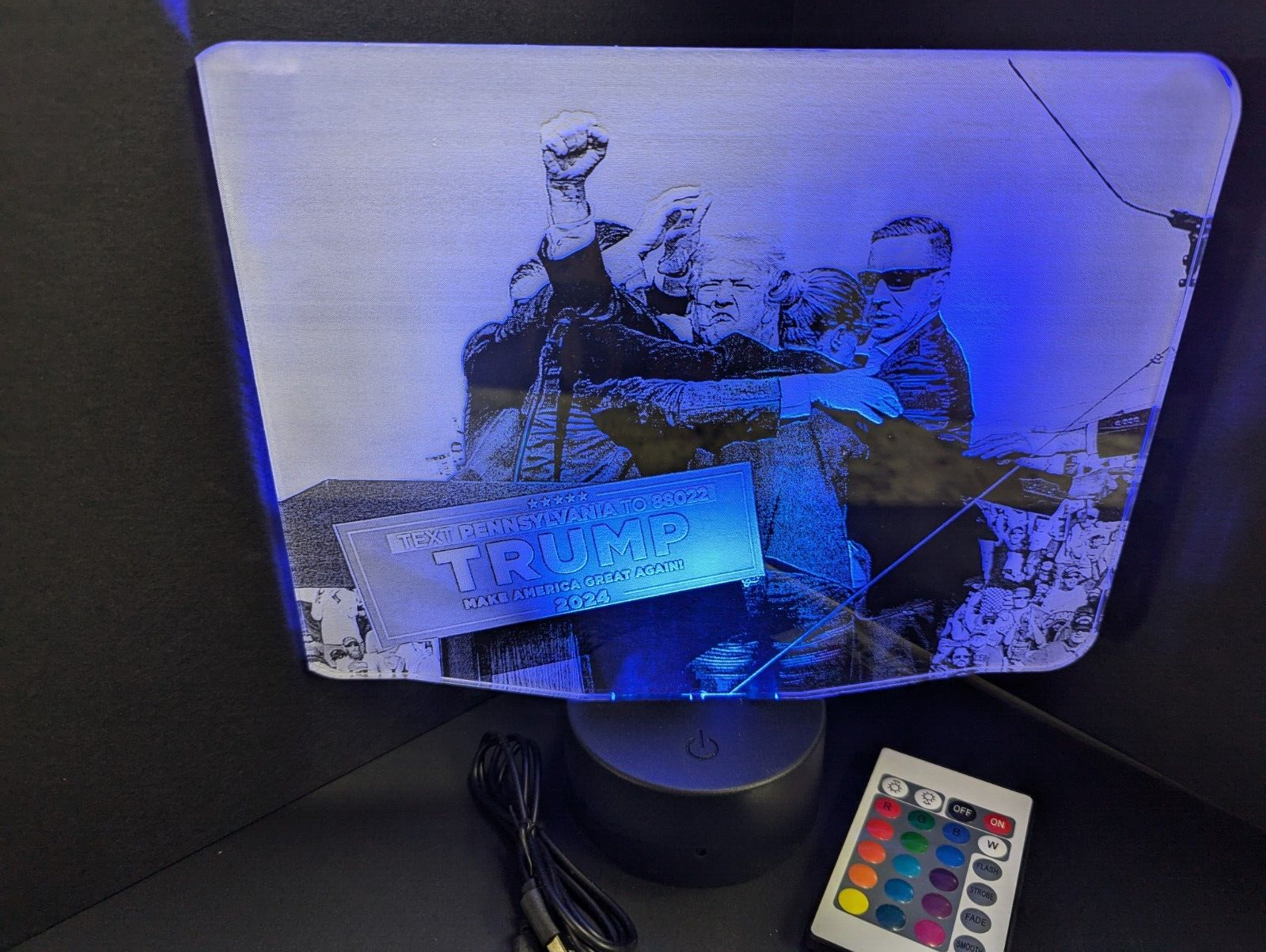 Donald Trump President L.E.D. Large light display