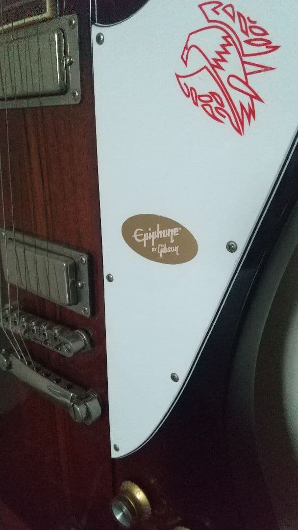 Epiphone Firebird Safe Packing!