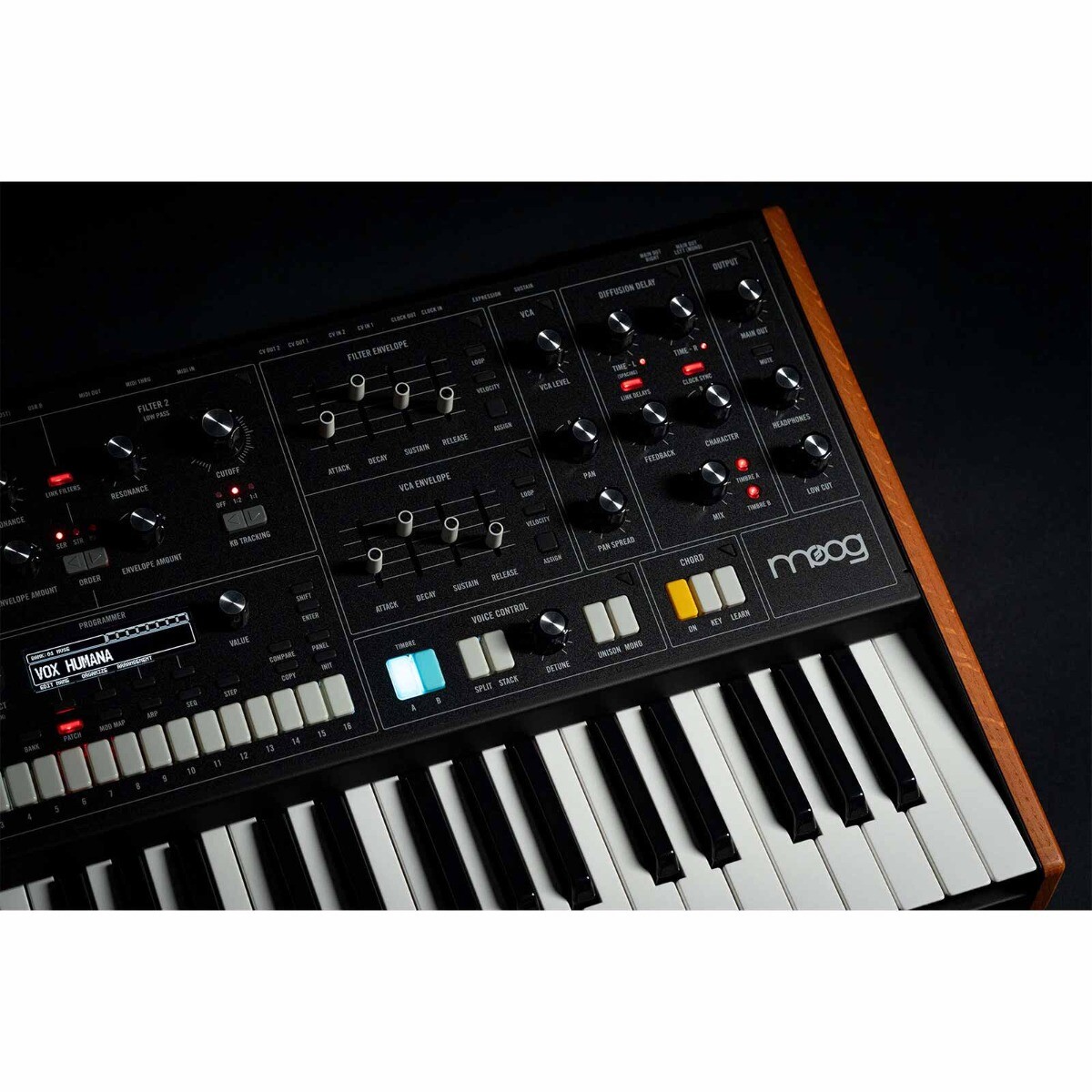 Moog Muse 8-Voice Analog Bi-Timbral Polyphonic Synthesizer
