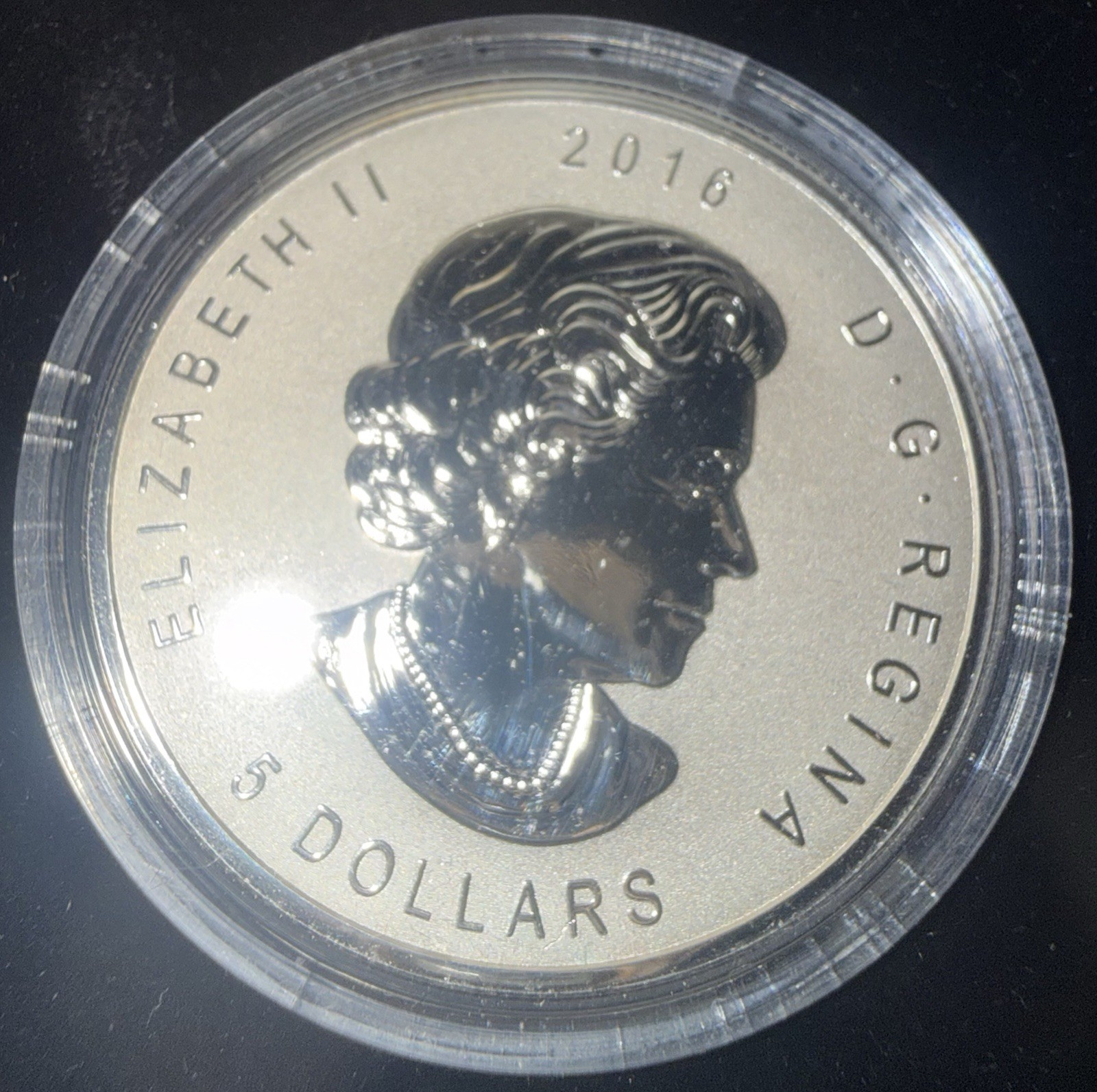 ⭐️2016 Elizabeth II D.G. Regina $5 Silver Reverse Proof Coin Lustrous Canadian