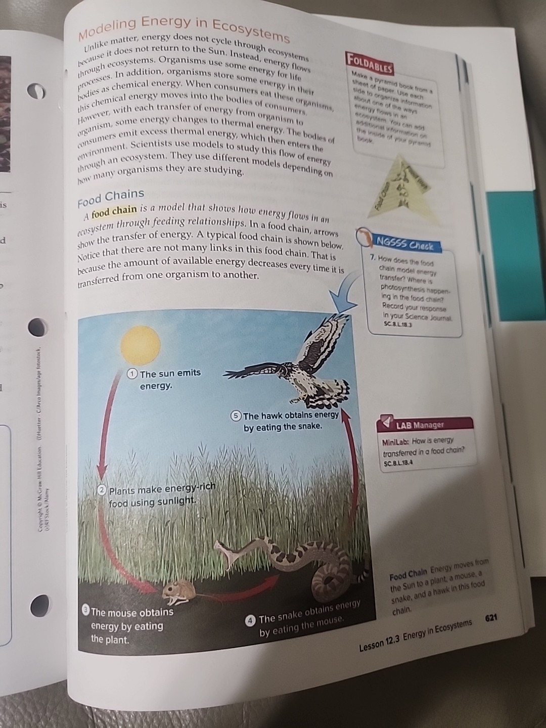 8th Grade 8 McGraw Hill Florida Science Comprehensive Course 3 Student Bundle
