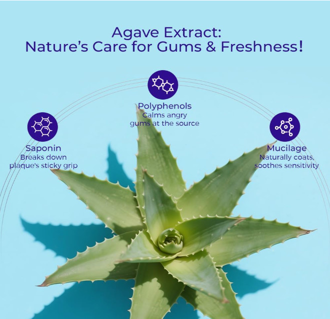 OCCOTAPS Agave Sensitive Toothpaste Fluoride-Free Whitening EXP 01/2029