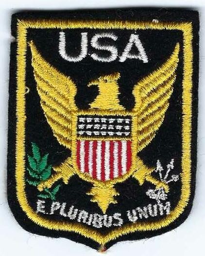 Vintage Embroidered Great Seal Of The United States E PLURIBUS UNUM Patch