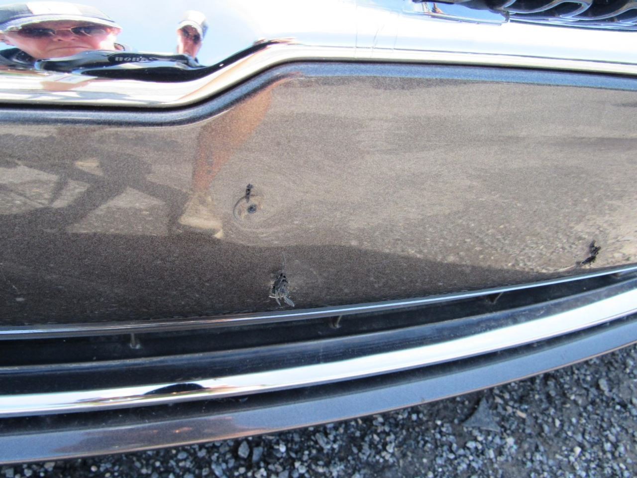 MKZ 2019 Glove Box 1063050
