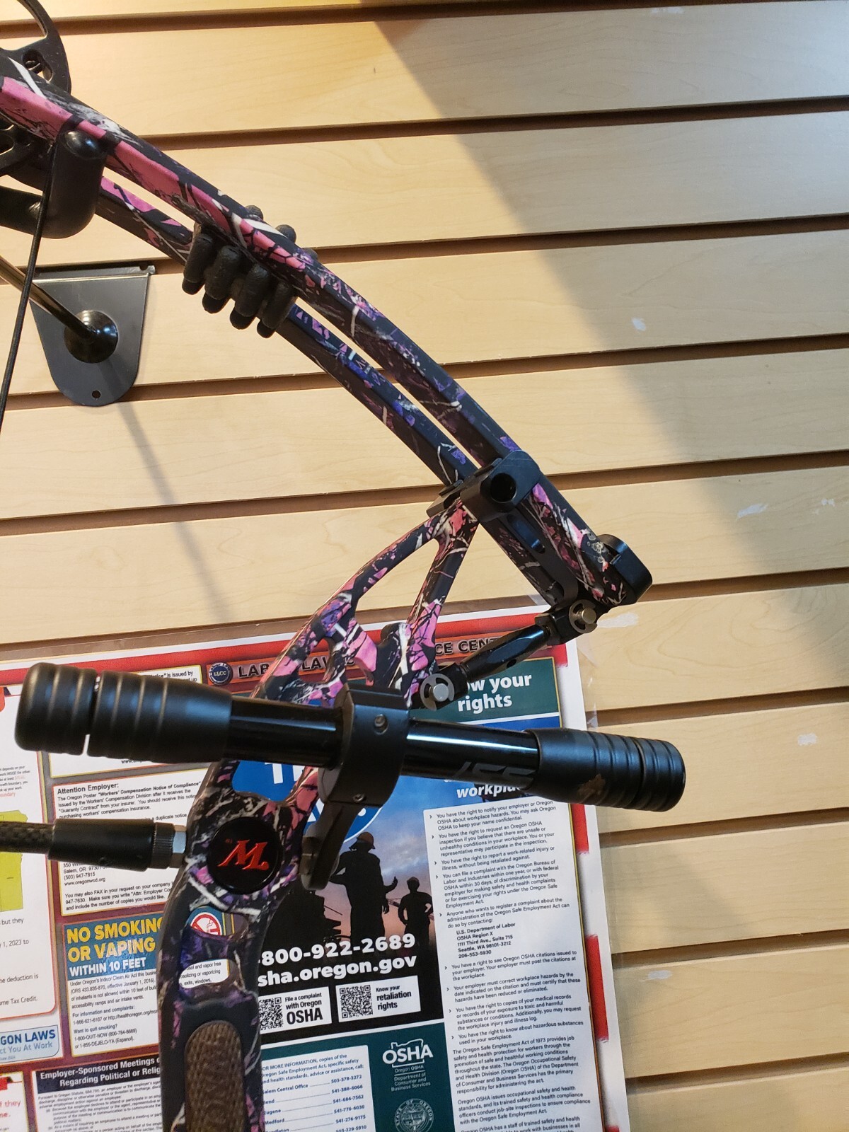 Winchester Compound Bow (pink) 60-70 lb