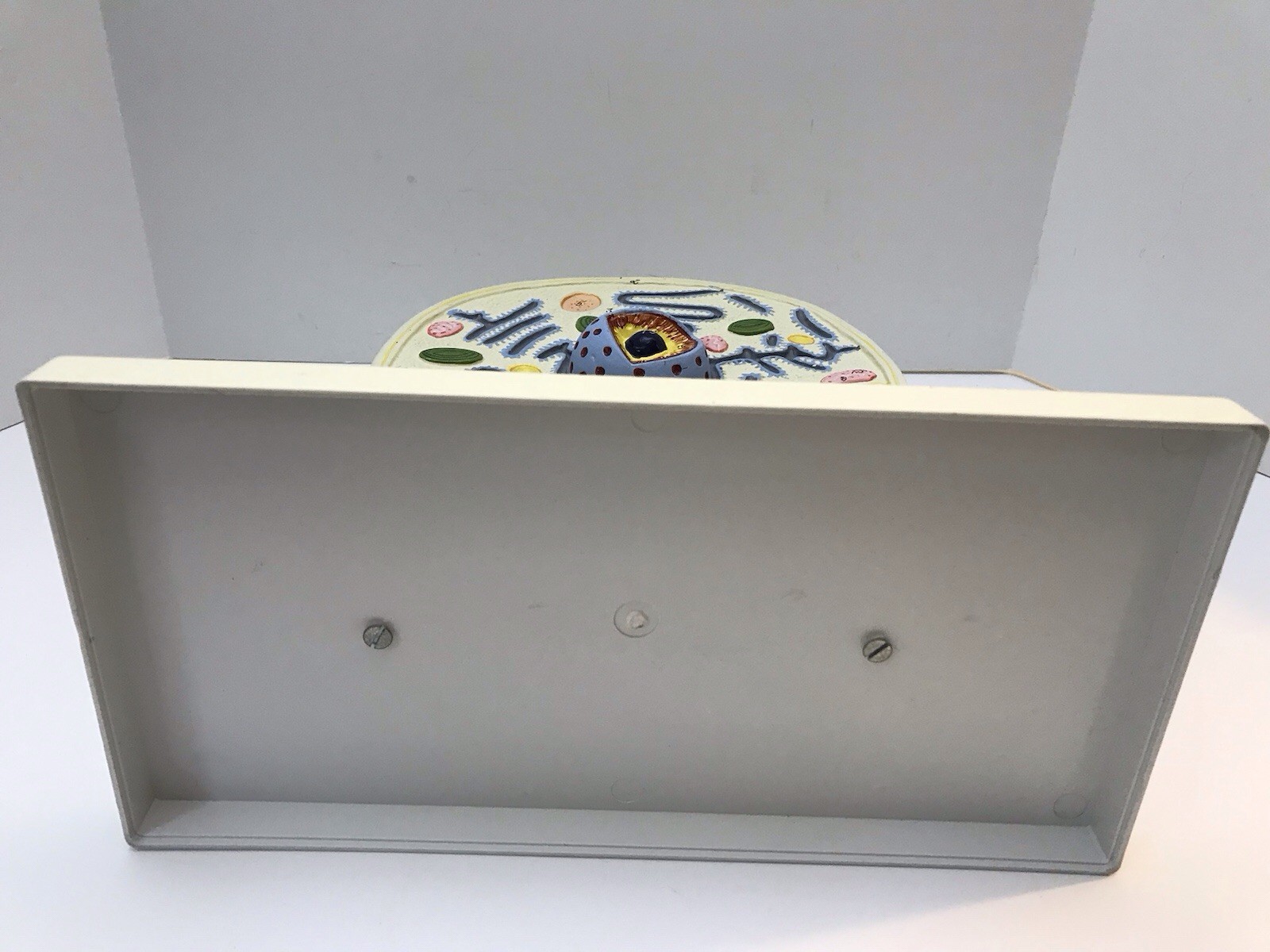 Eisco Labs Plant Cell Model Electron Microscope Structure Science Display Class