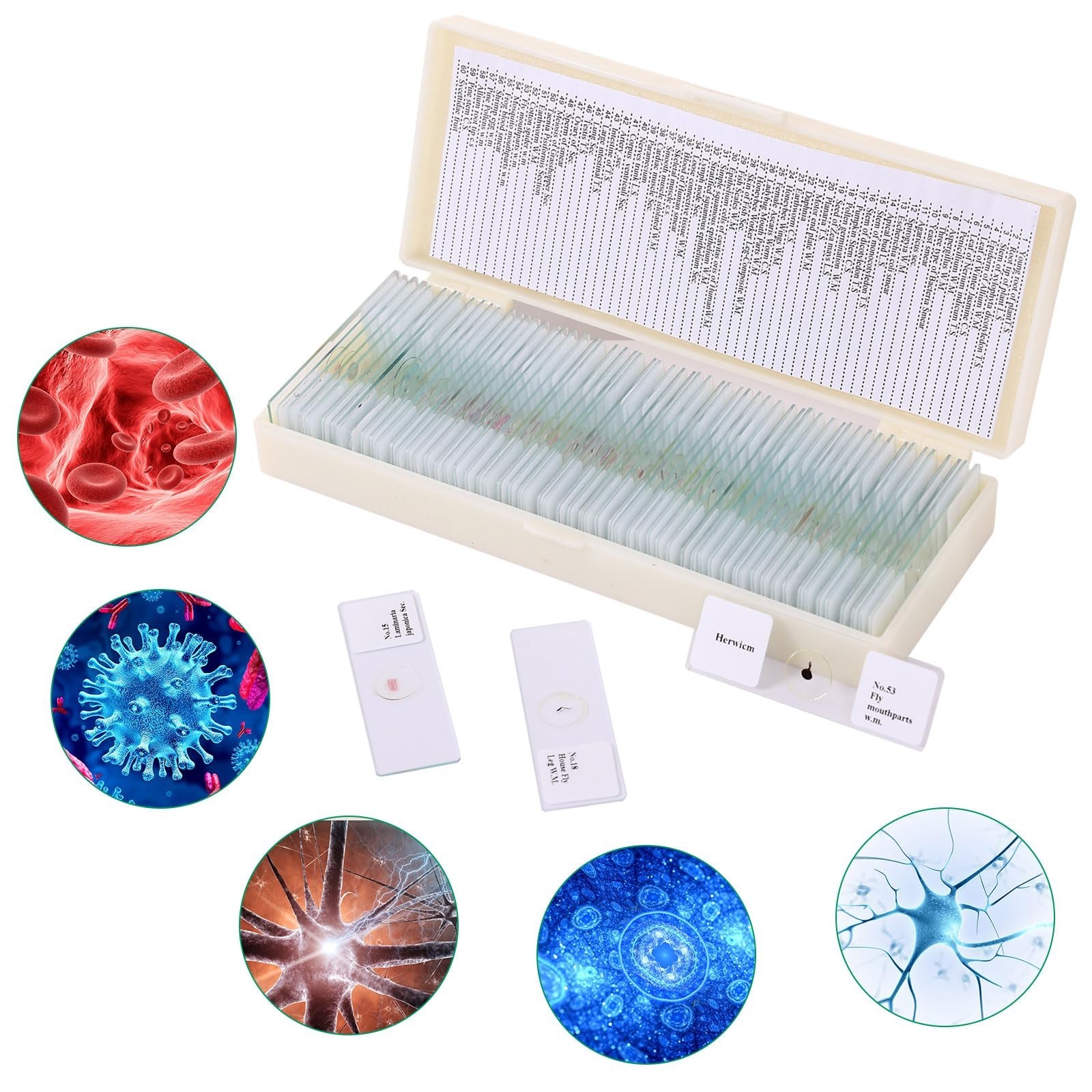 60 Pieces Prepared Microscope Slide Set with Specimens, Plant Animal Cell Sci...