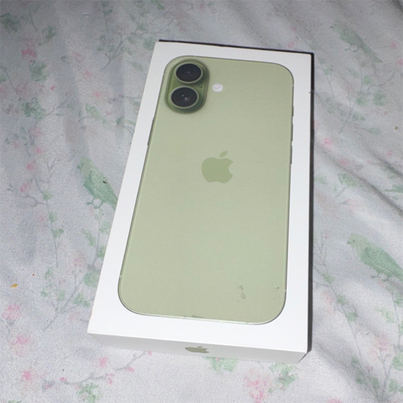 Apple iPhone 17 Green 256GB (BOX ONLY!)