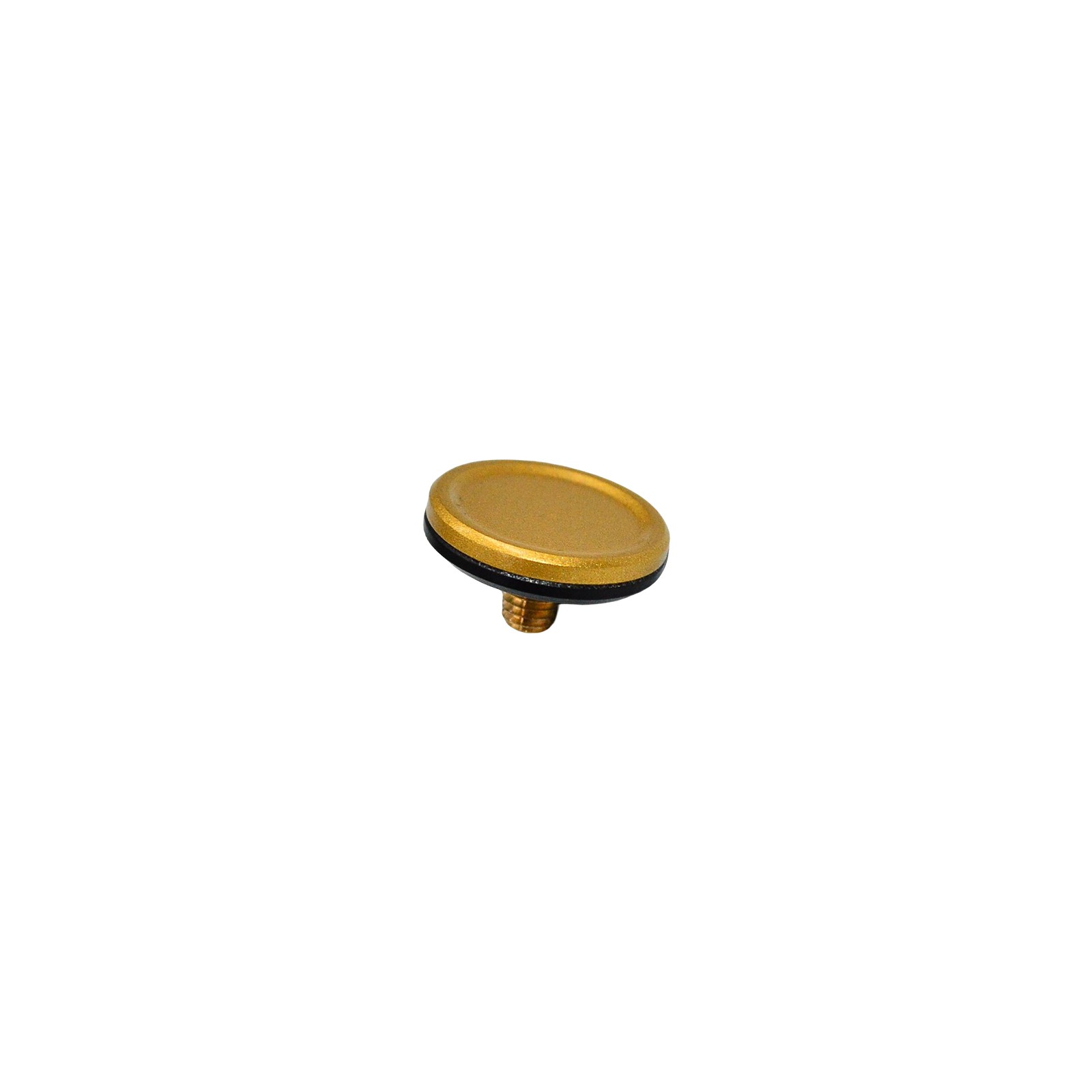 NEW Leica Soft Release Button Brass Blasted 19599 for Q3, M Cameras