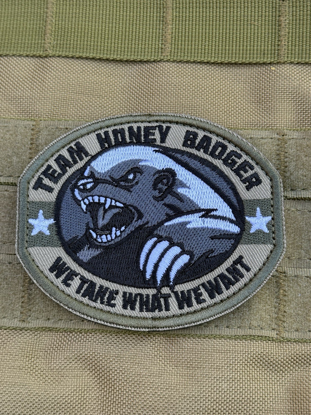 Honey Badger Team Take What We Want Tactical Military Hook Loop Patch Green