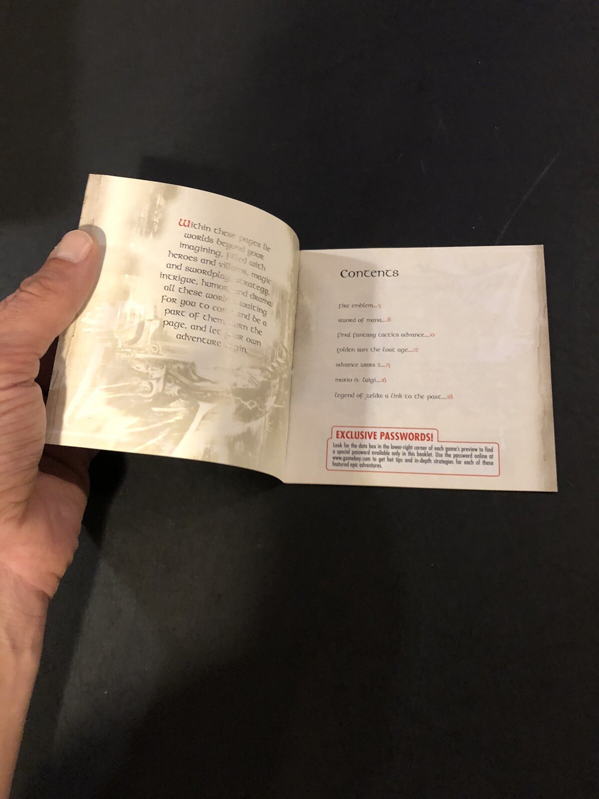 Nintendo gameboy advance journey is the beginning Insert