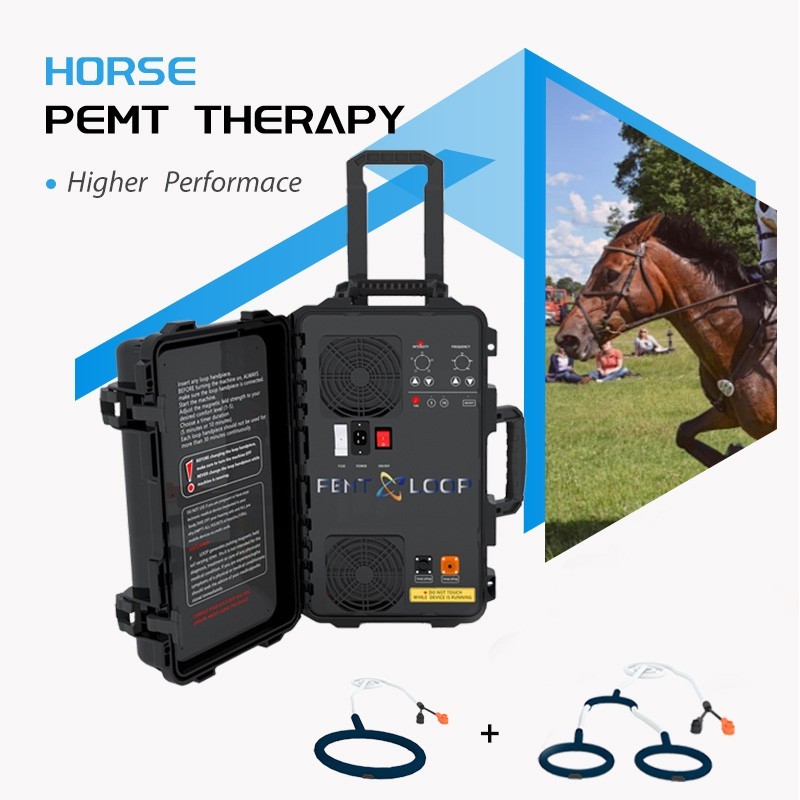PMST Loop PEMF Pulsed Eletromagnetic Feild Sport Injury Pain Therapy Machine