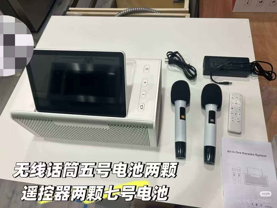 6 in 1 Karaoke Professional Karaoke System