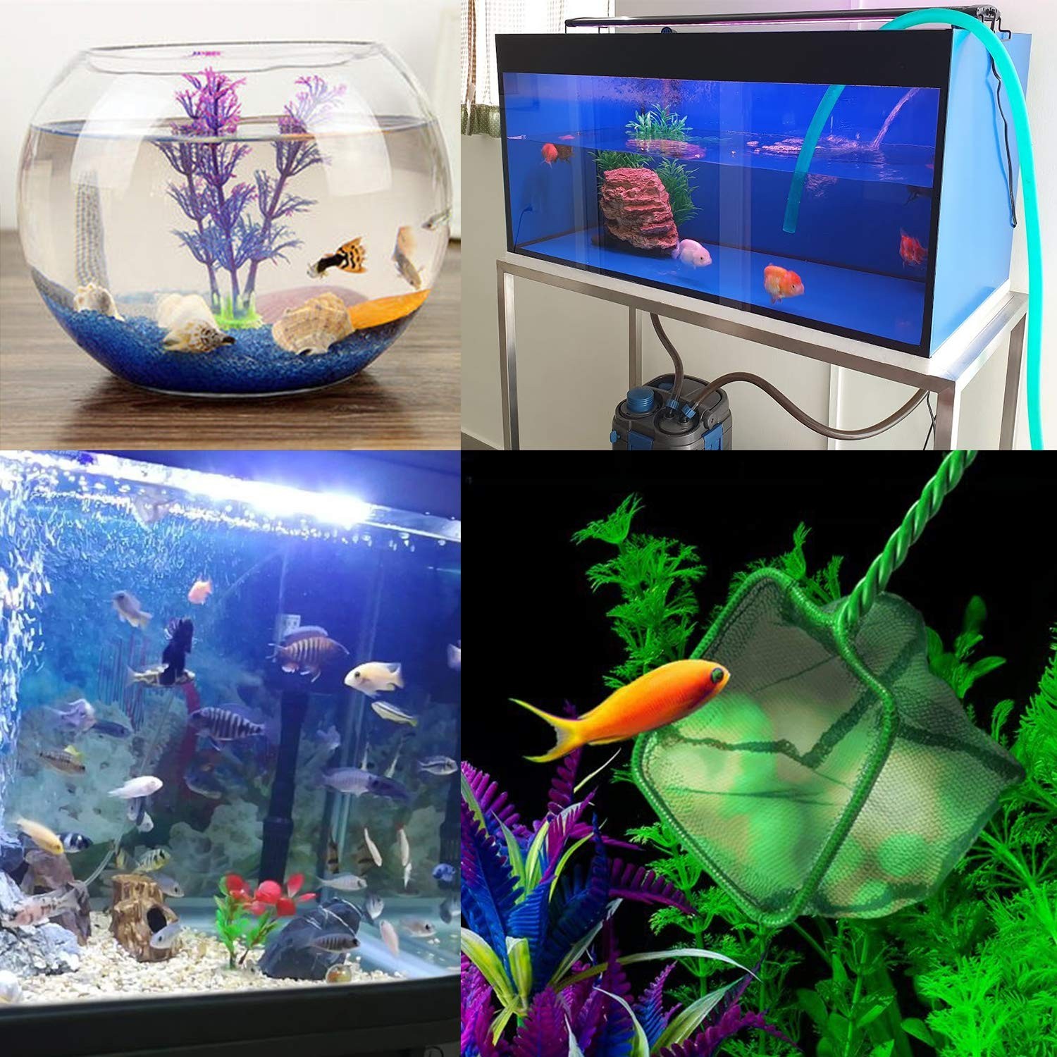 2 Pack Aquarium Fish Nets, 4 Inch Small Mesh Fish Catch Nets with Plastic Handle