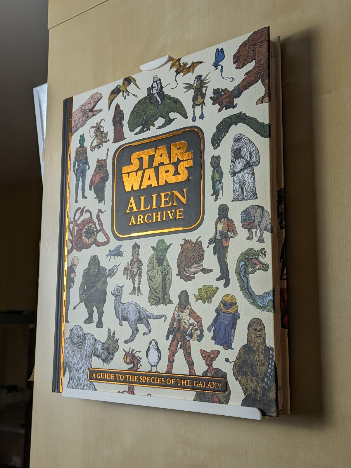 Graphic Novel Wall Mount Display Shelf for Large CGC Graded Books Magazines