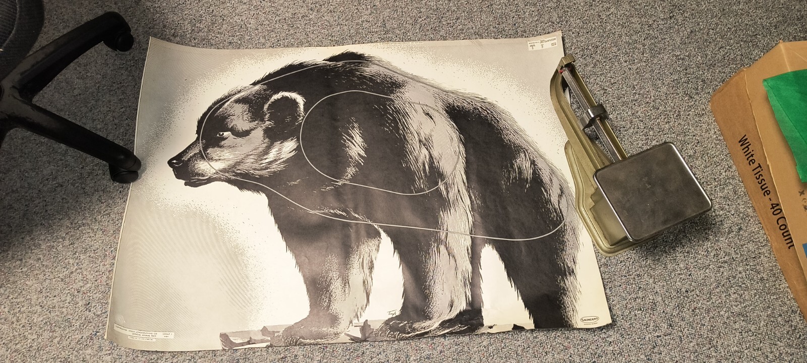 2 VTG Saunders & True-Life Target Bear & Deer Archery Targets Shipped Folded. DM