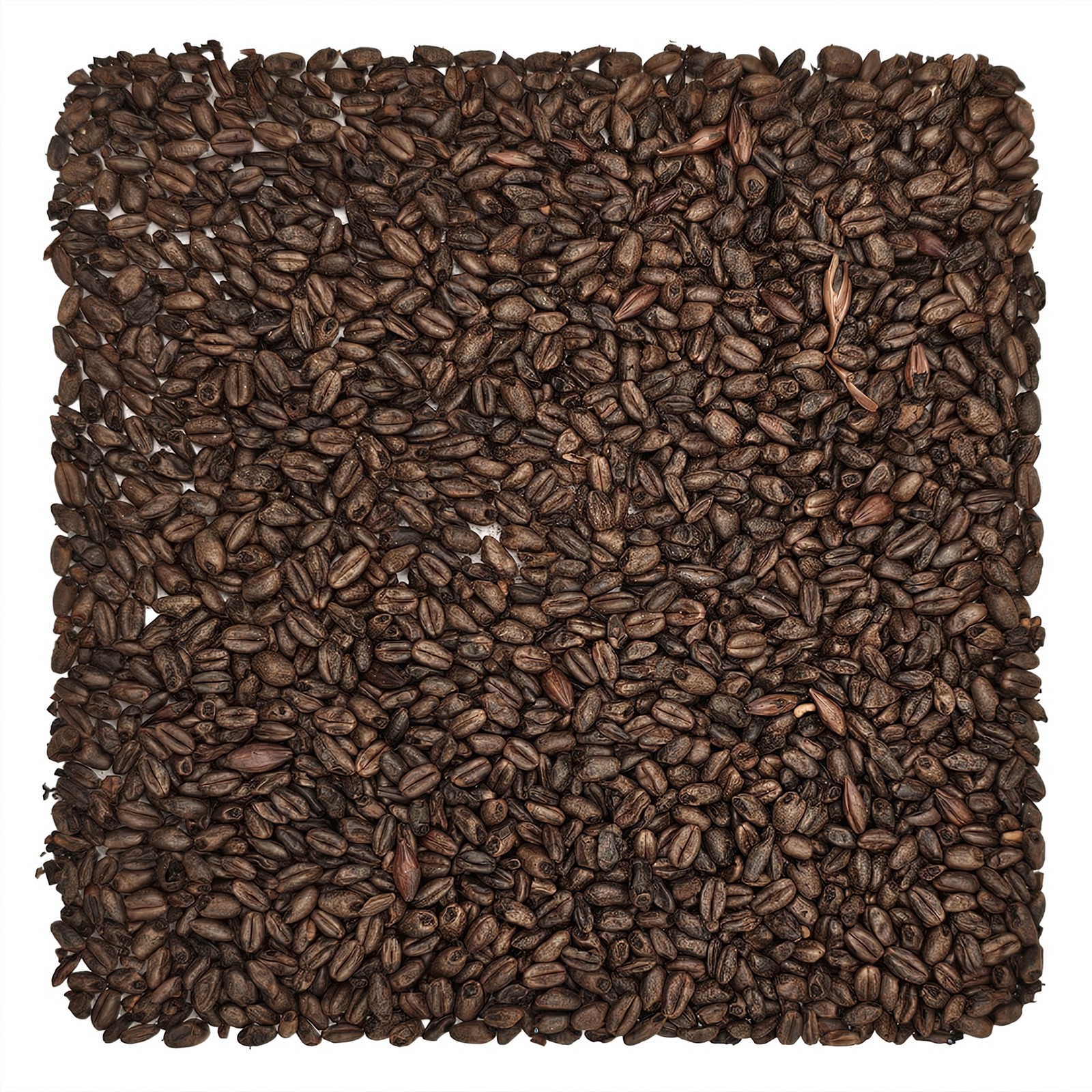 Home Brew Ohio Chocolate Grain 1lb