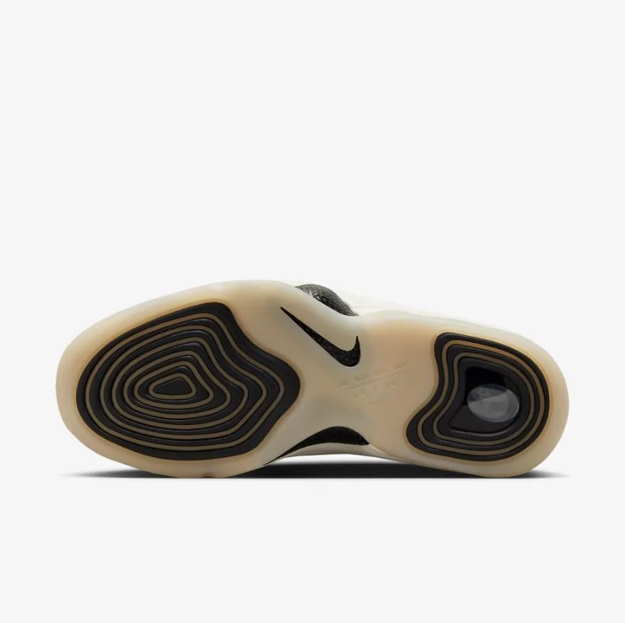 Nike Air Penny 2 White Black Sail Photon Dust FB7727-100 US 4-14 Brand New