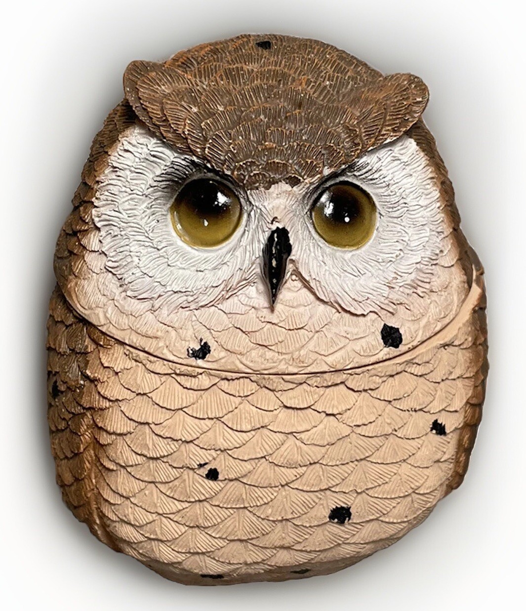 Trinket box round Owl resin Textured 3”