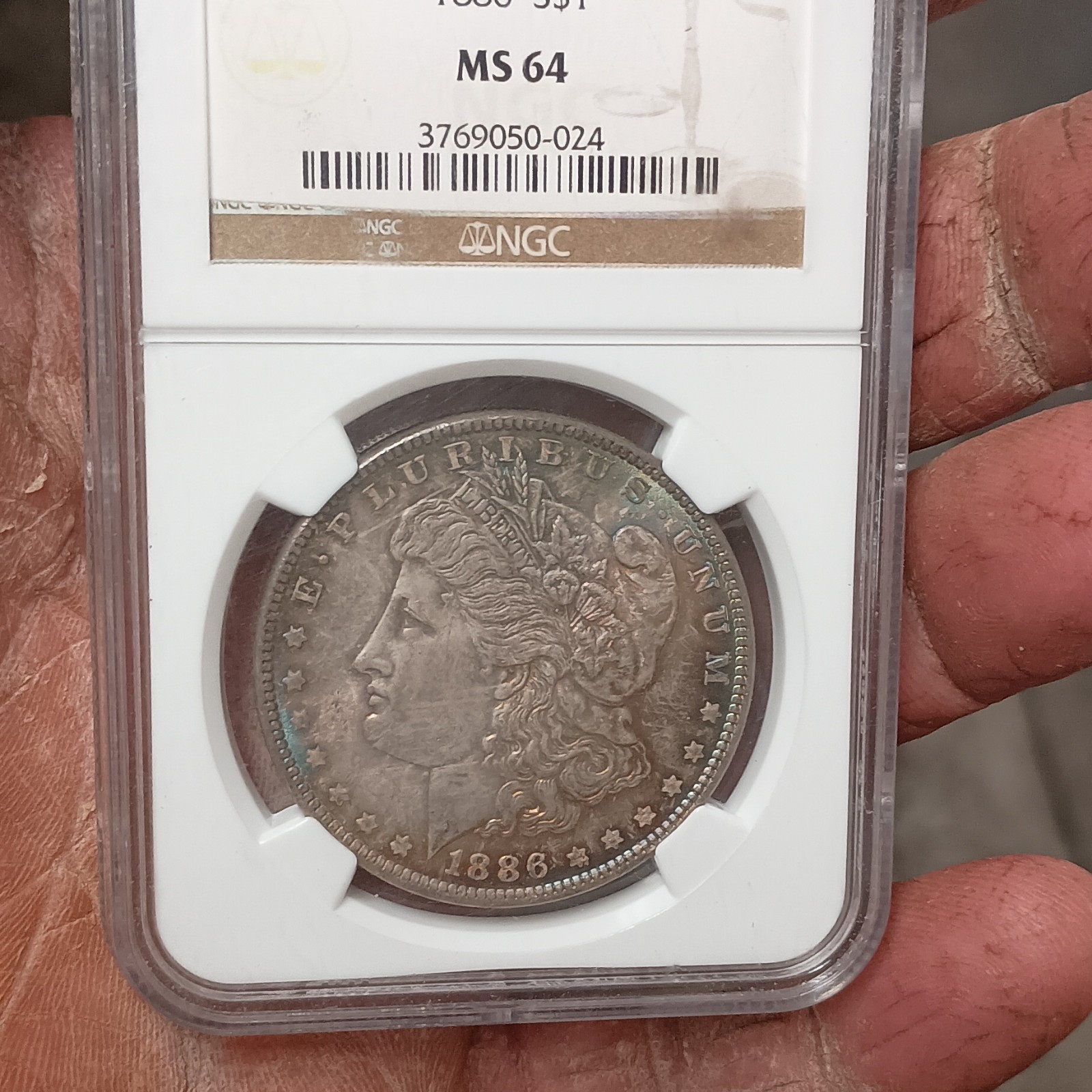 1886 $1 Morgan Silver Dollar NGC Ms 66 Stunning Toning, Much Better In Person