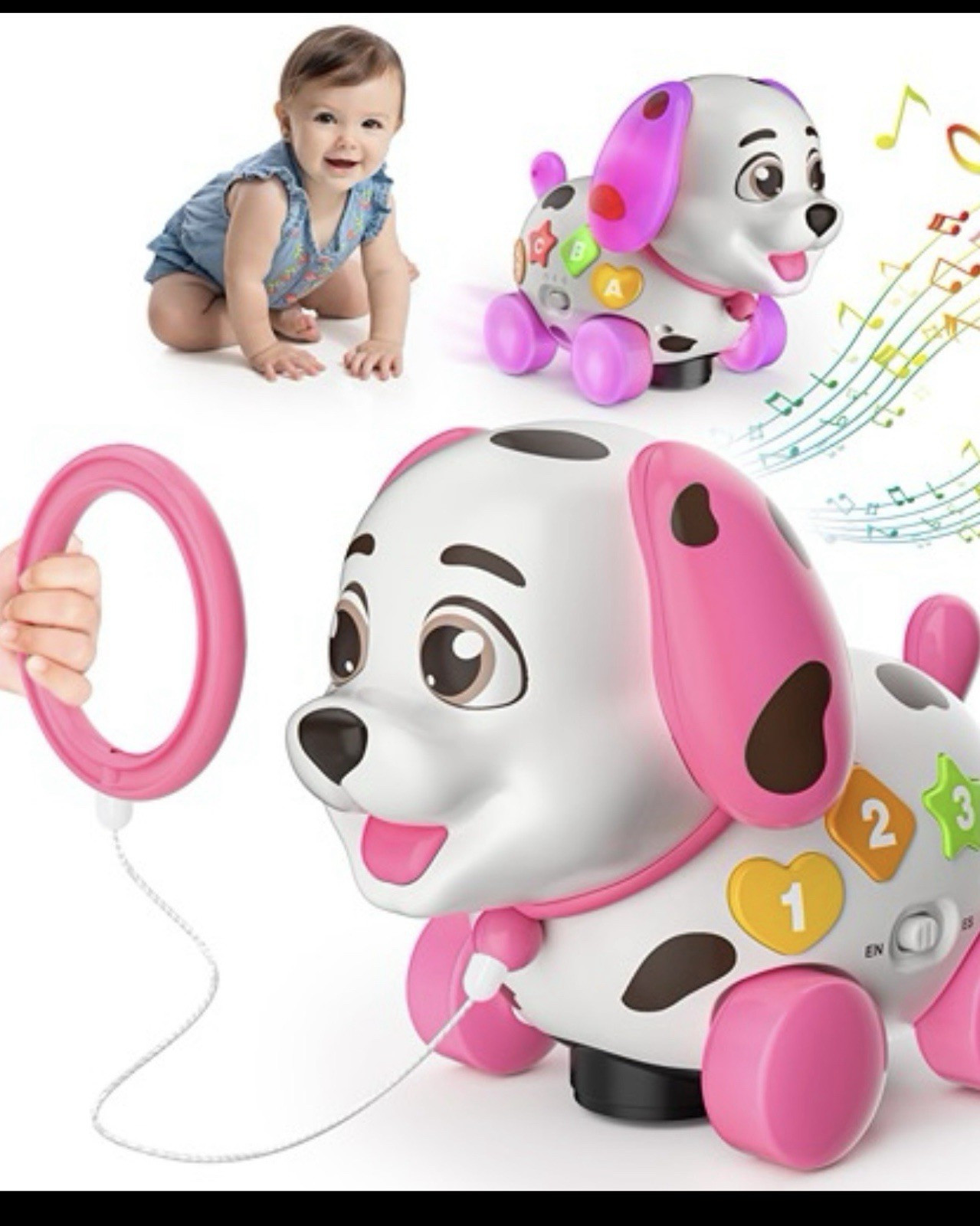 Battery Operated Musical Toy Dog Pull Along with Number Buttons and Pink Wheels