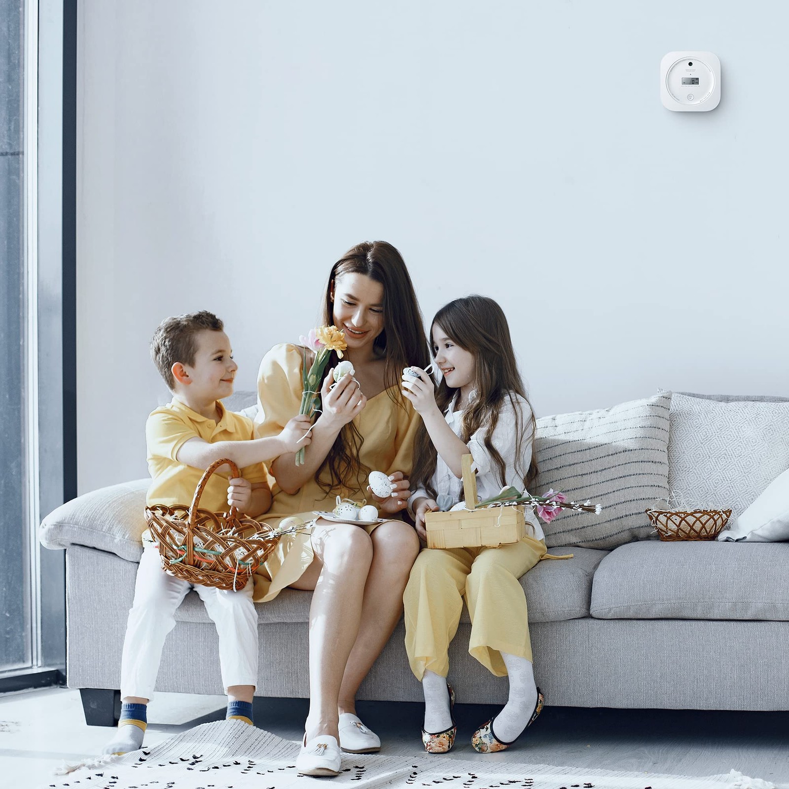 Aegislink Interlinked Smoke Carbon Monoxide Detector Combo Smoke And Co