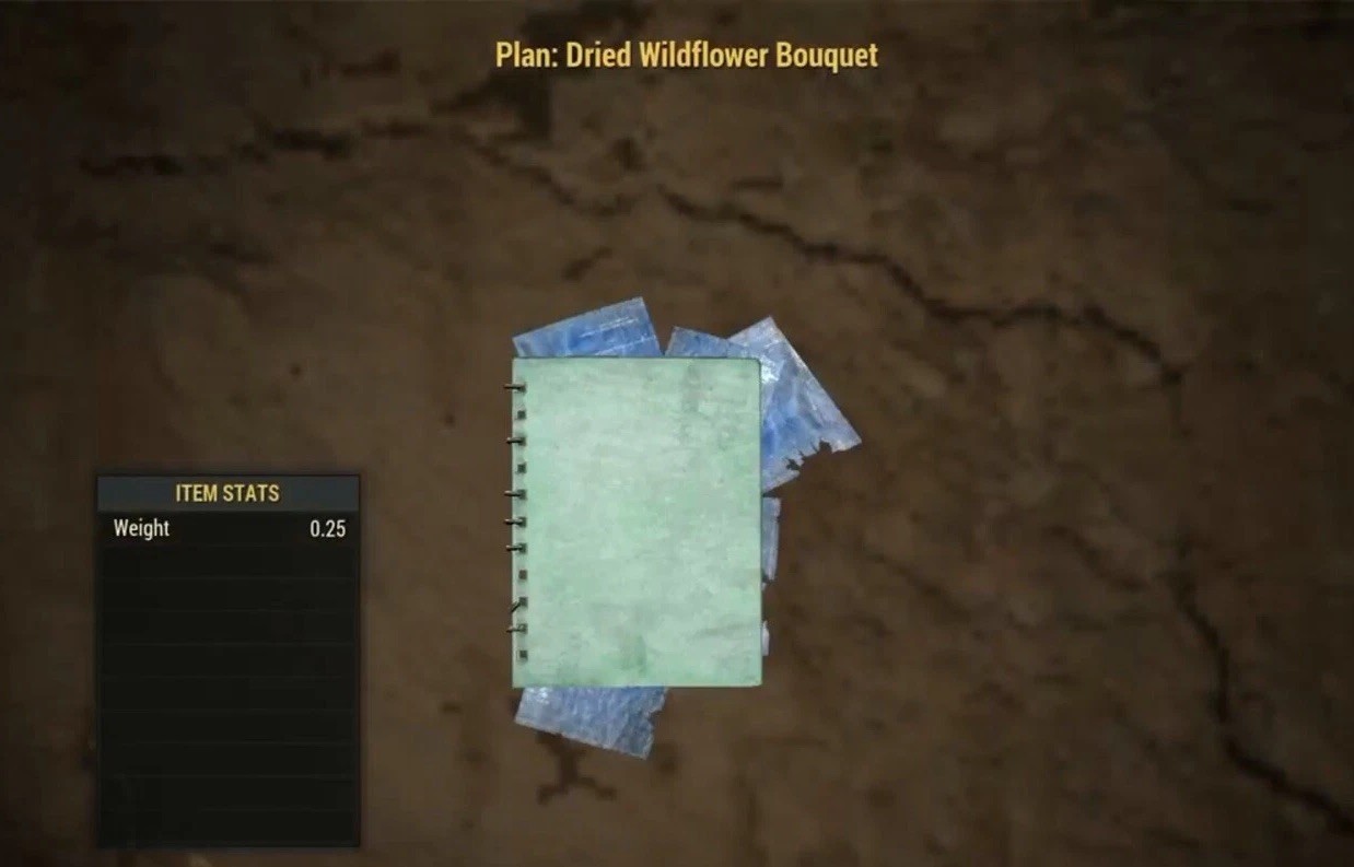 (Xbox) Dried Wildflower Bouquet Plan