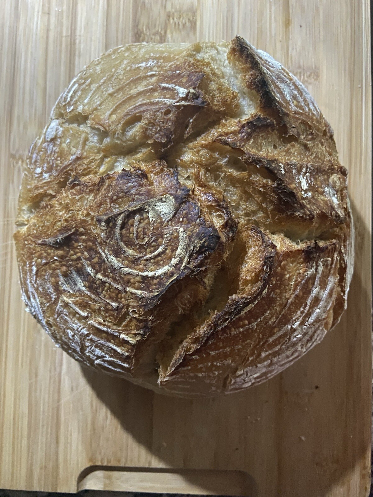 Dehydrated Sourdough Starter