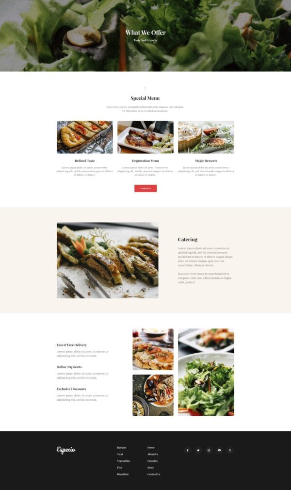 Premium Wordpress Elementor Template Kit Bundle | Blog & Podcast theme