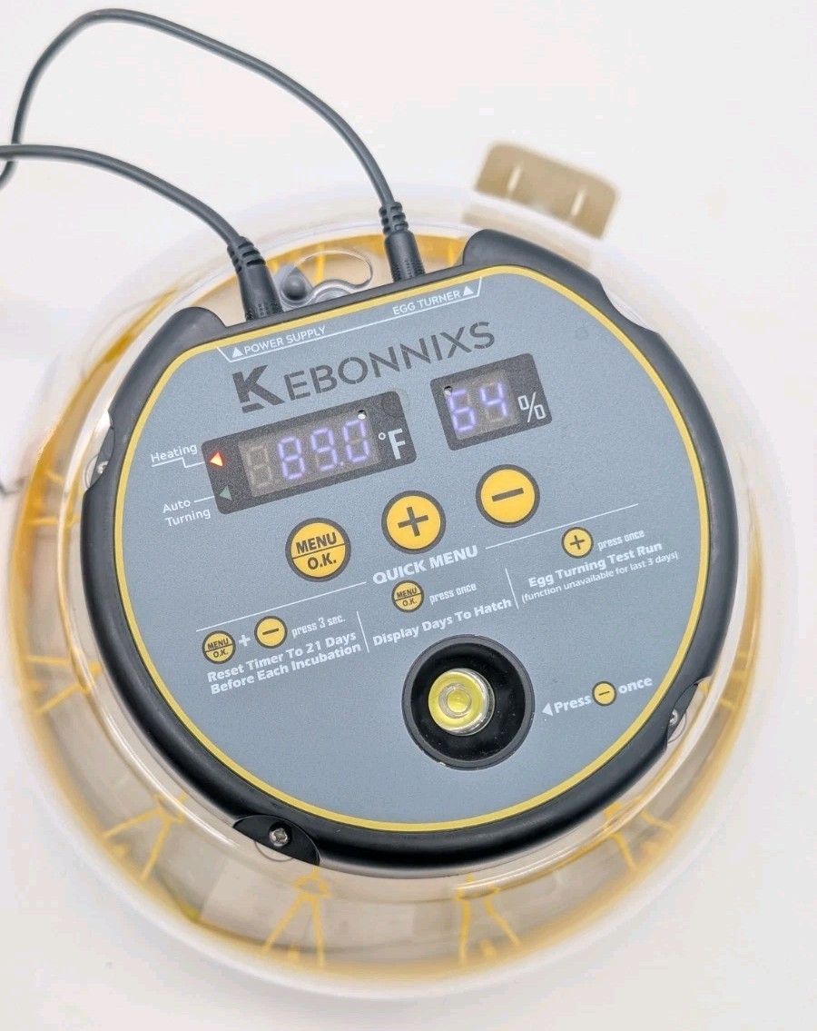 Kebonnixs 12 Egg Incubator Digital Temperature Controlled Automatic