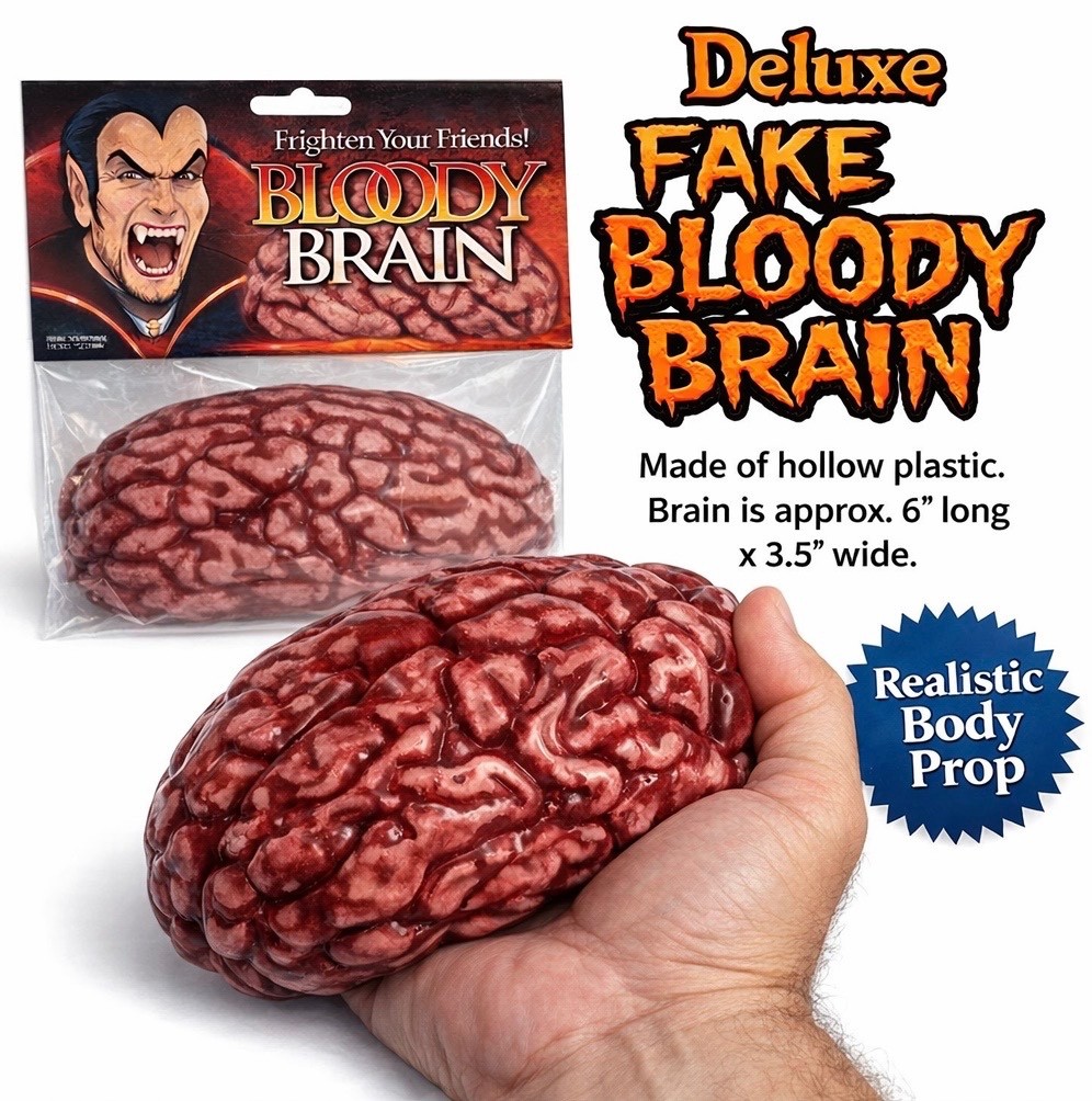 DELUXE FAKE BRAIN MODEL Hard Rubber Blood 6" Prop Human Body Part Organ Mind Toy
