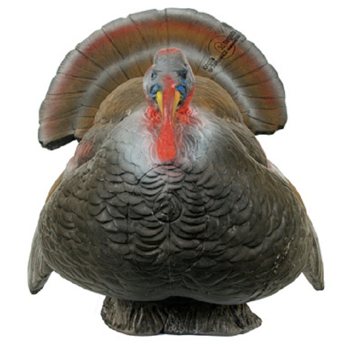 3D Animal Longlife Courting Turkey