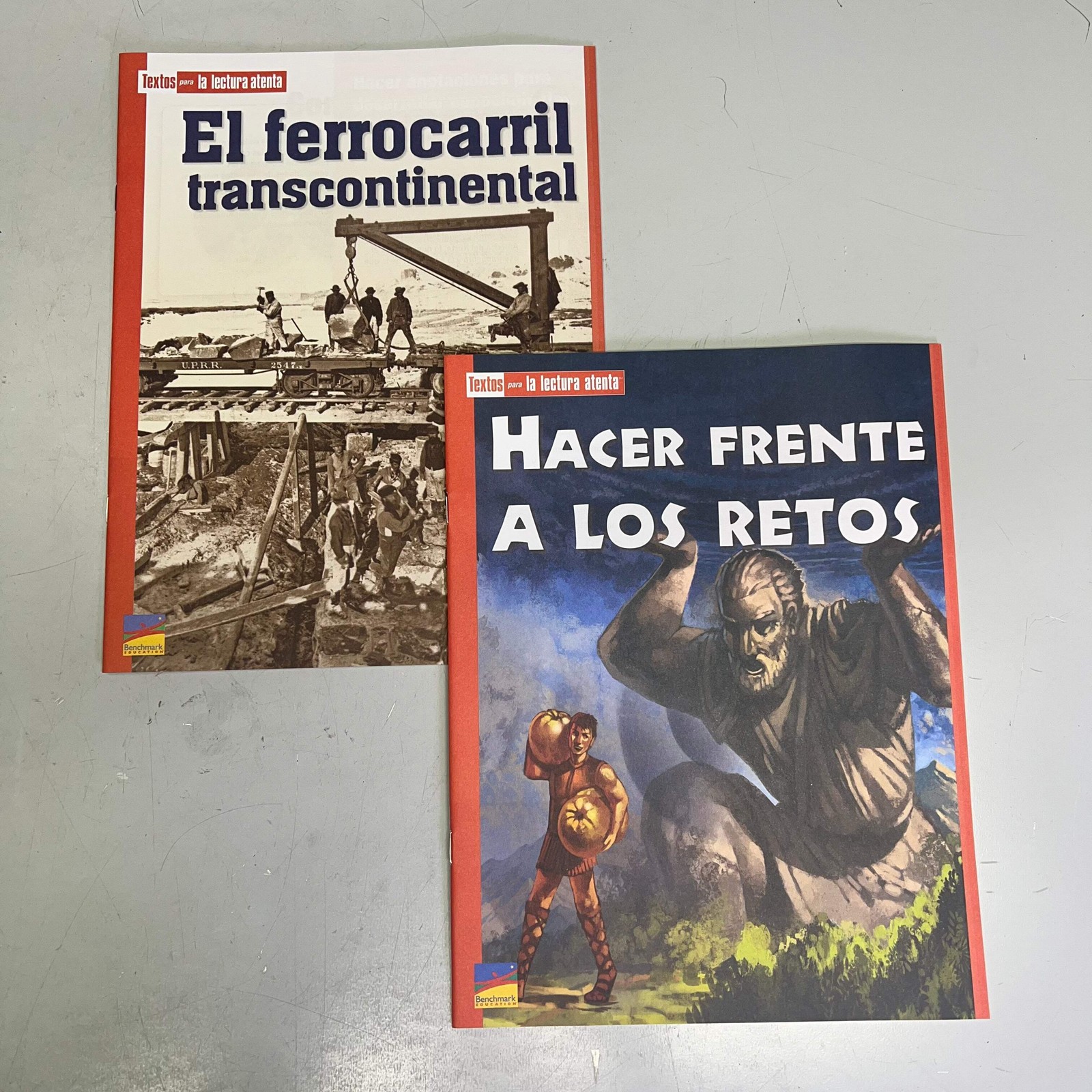 BENCHMARK EDUCATION (10 SET) Multiple Learning Point Books Grade 4 Spanish Editi